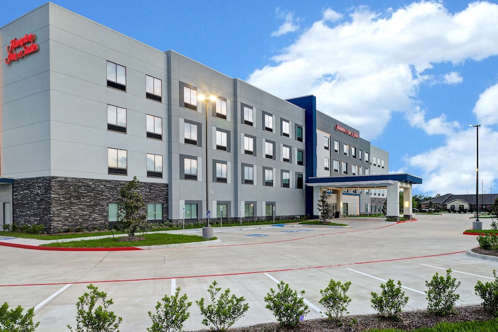 Hampton Inn & Suites Houston East Beltway 8 - photo 71