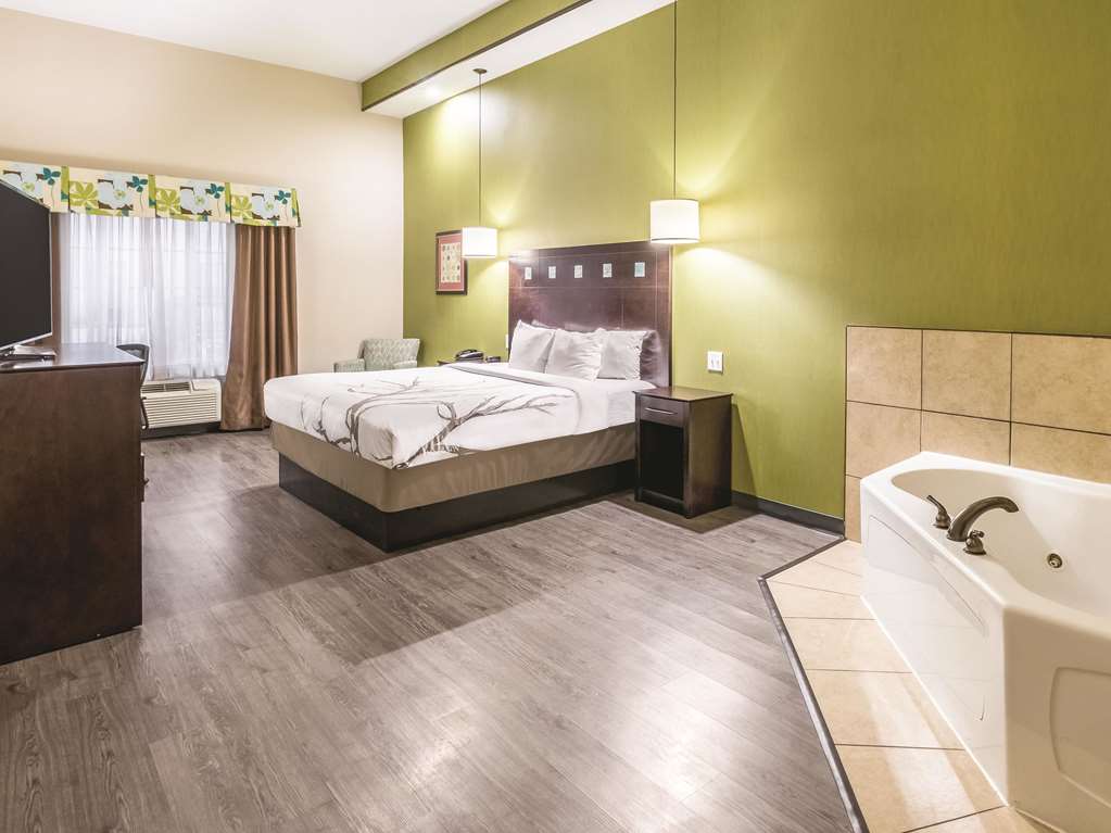 La Quinta Inn & Suites by Wyndham Dallas Grand Prairie South - photo 31