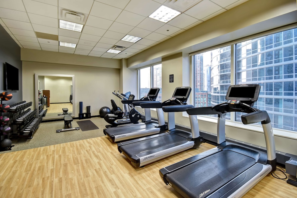 Embassy Suites by Hilton Chicago Downtown Magnificent Mile - photo 35