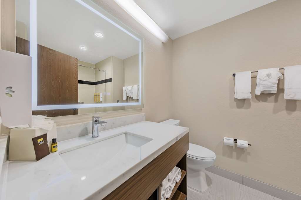 Best Western Plus Heritage Inn Ontario Rancho Cucamonga - photo 61