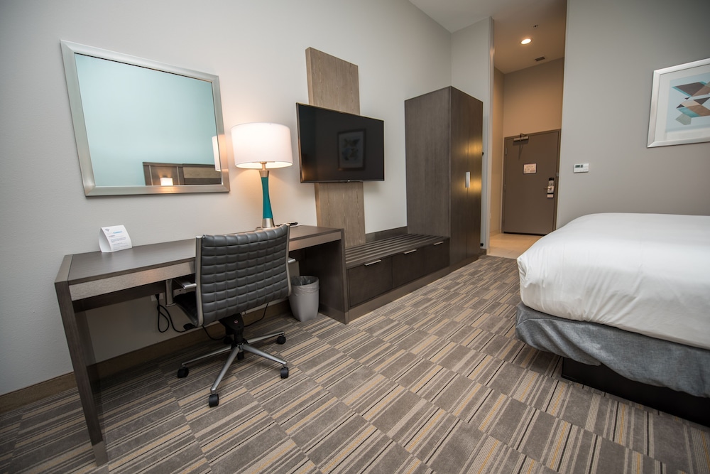 Holiday Inn Express & Suites Lake Charles South Casino Area by IHG - photo 44