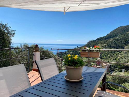 Sunrise Apartament in Monterosso Al Mare, Italy