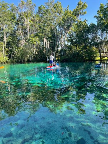 ChassMinidoorway — hotel in Homosassa
