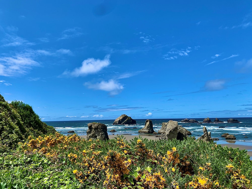 Sunset Oceanfront Lodging - photo 114