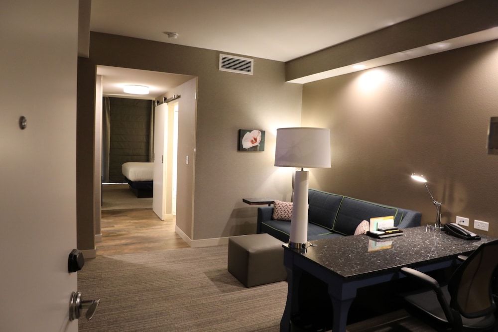 Hilton Garden Inn Austin Airport - photo 7