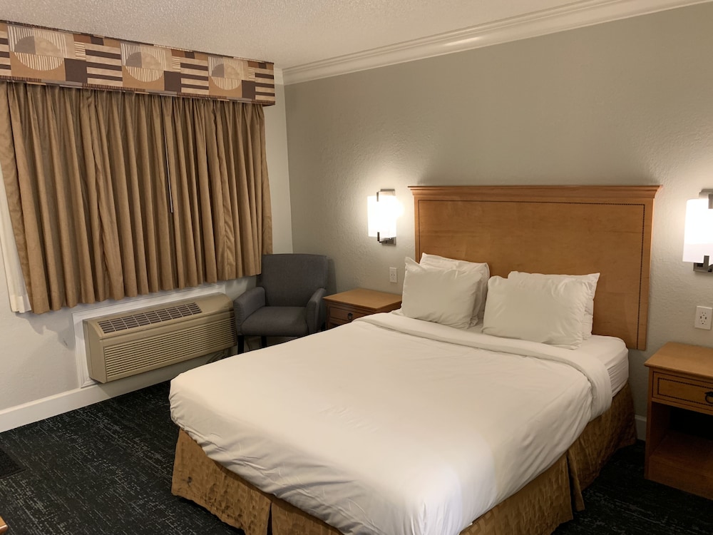 Stargazer Hotel - photo 6