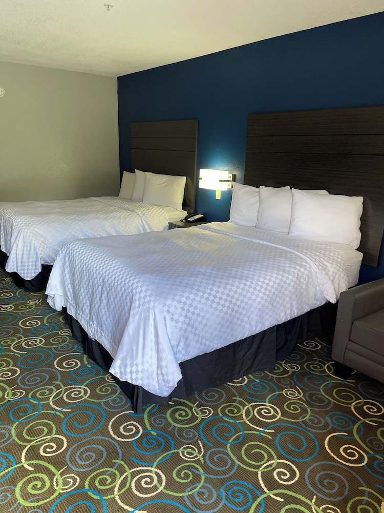 Clairmont Inn & Suites Warren - photo 16