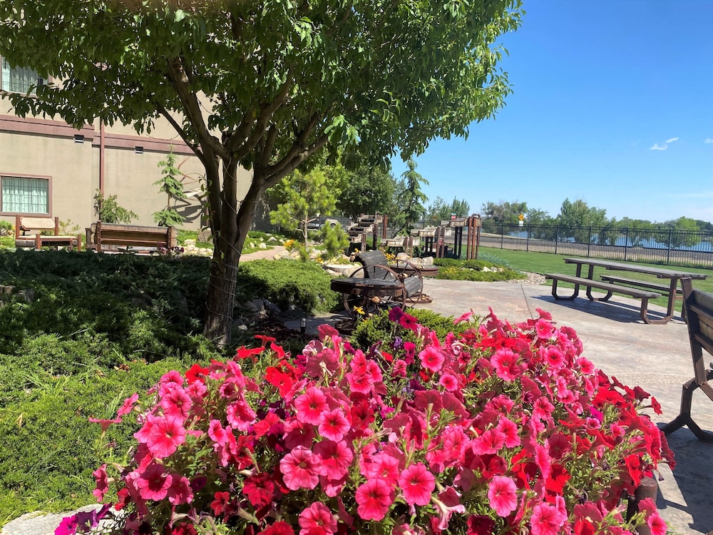 Staybridge Suites Great Falls by IHG - photo 71