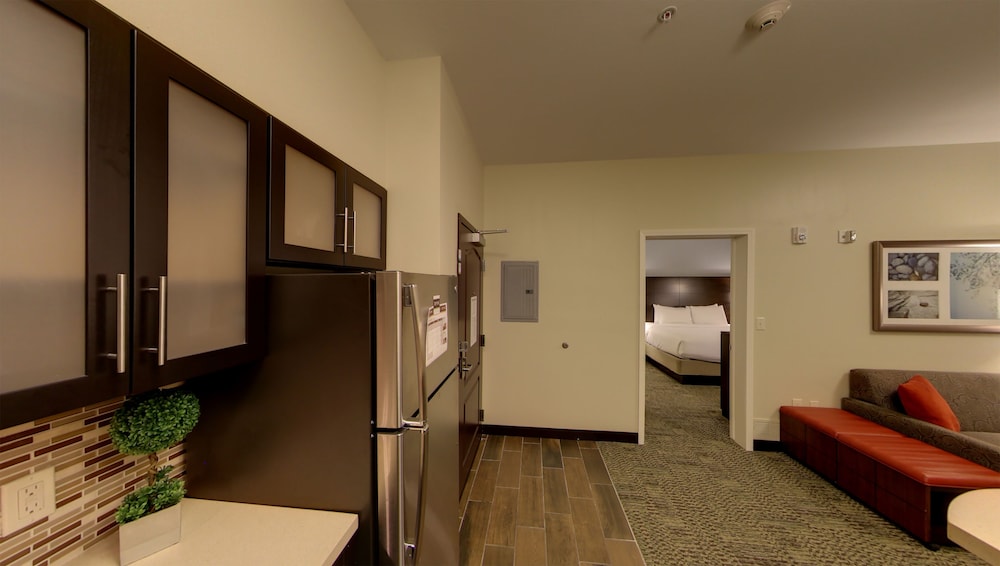 Staybridge Suites Ann Arbor Univ of Michigan by IHG - photo 6