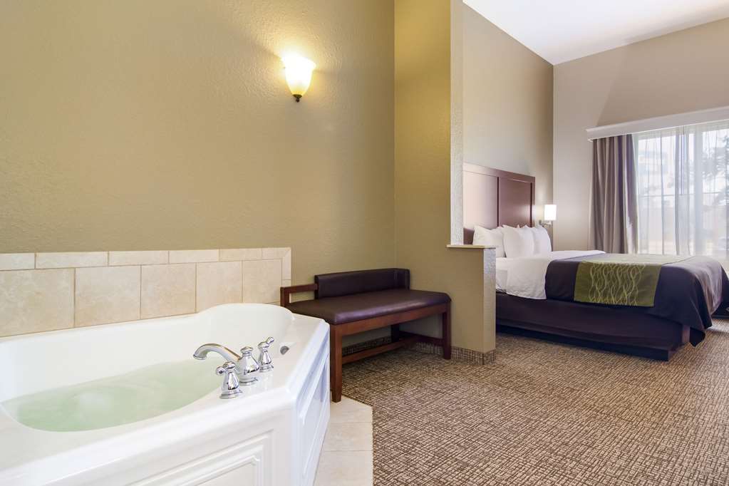 Comfort Inn Blackshear Hwy 84 - photo 13