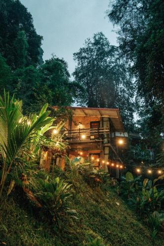Bee Forest - carbon neutral hotel in Unknown City