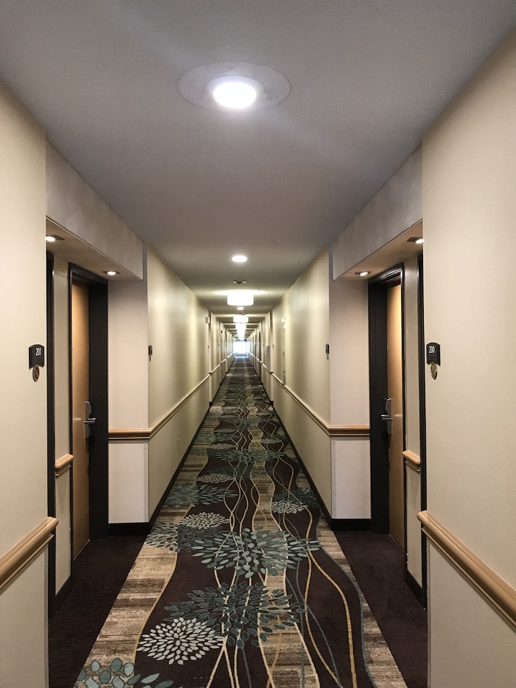 Staybridge Suites Columbia by IHG - photo 55