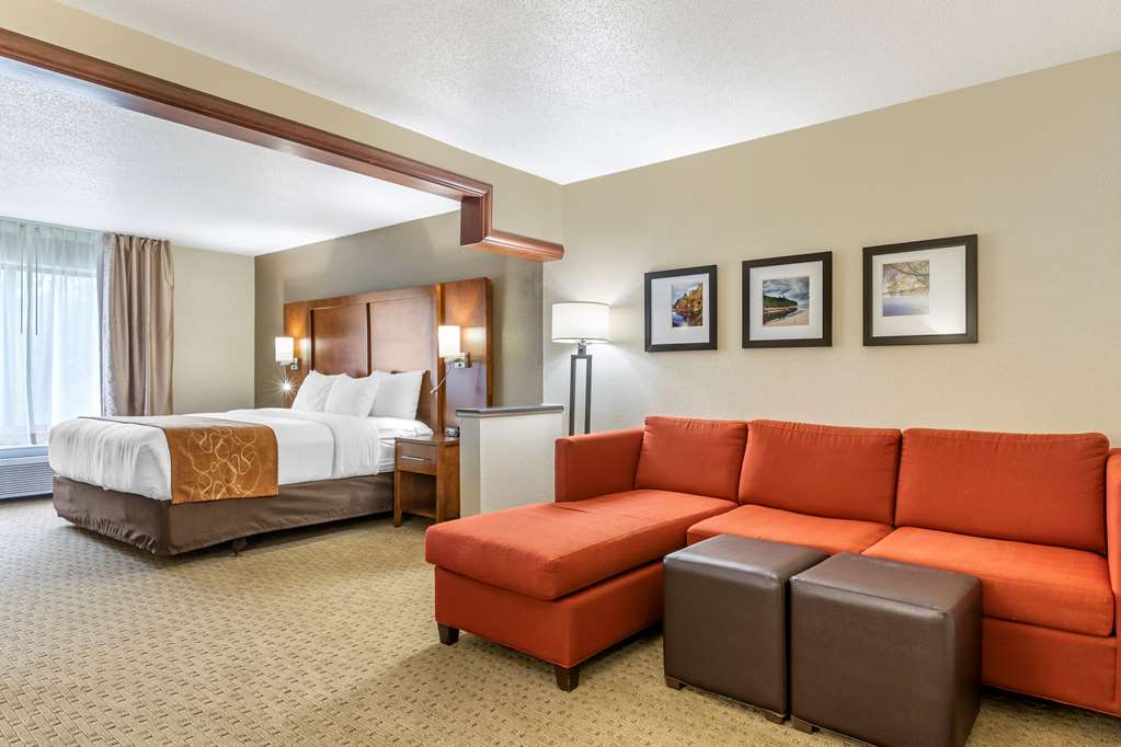 Comfort Suites Grand Rapids North - photo 8