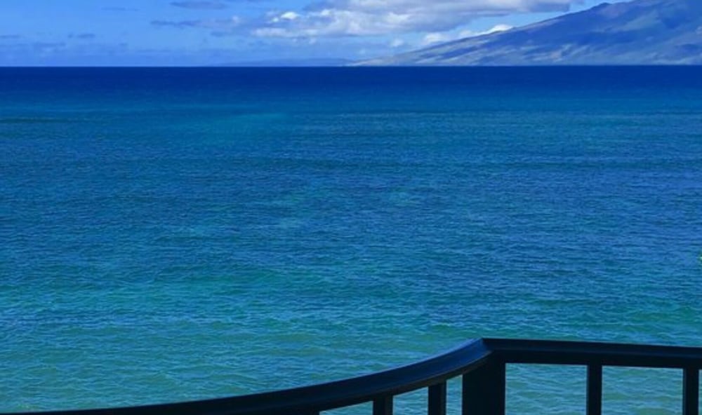 Love & Discover the Place of Your Dreams in 305 Lahaina - photo 16