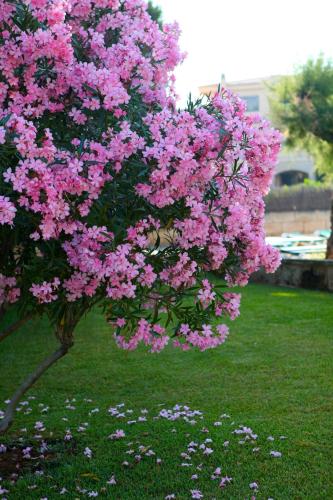 Hotel & Apartamentos Casablanca