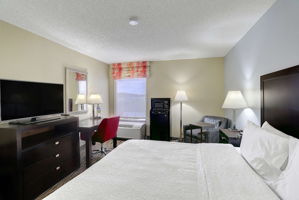 Hampton Inn Nashville I 24 Hickory Hollow - photo 7