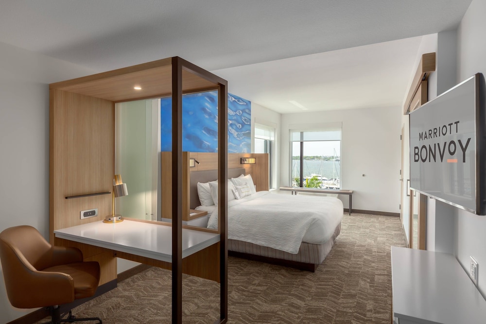 SpringHill Suites by Marriott Bradenton Downtown Riverfront - photo 7
