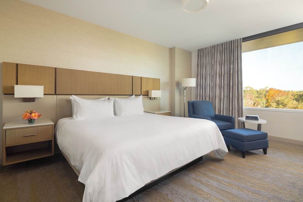 JB Duke Hotel - photo 19