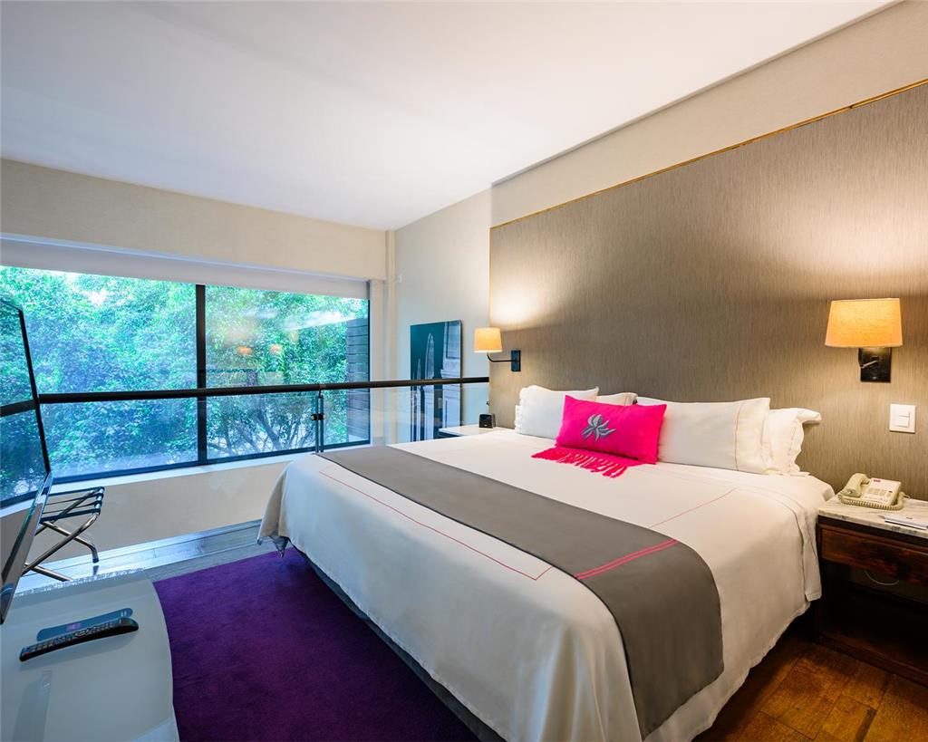 Las Suites Campos Eliseos