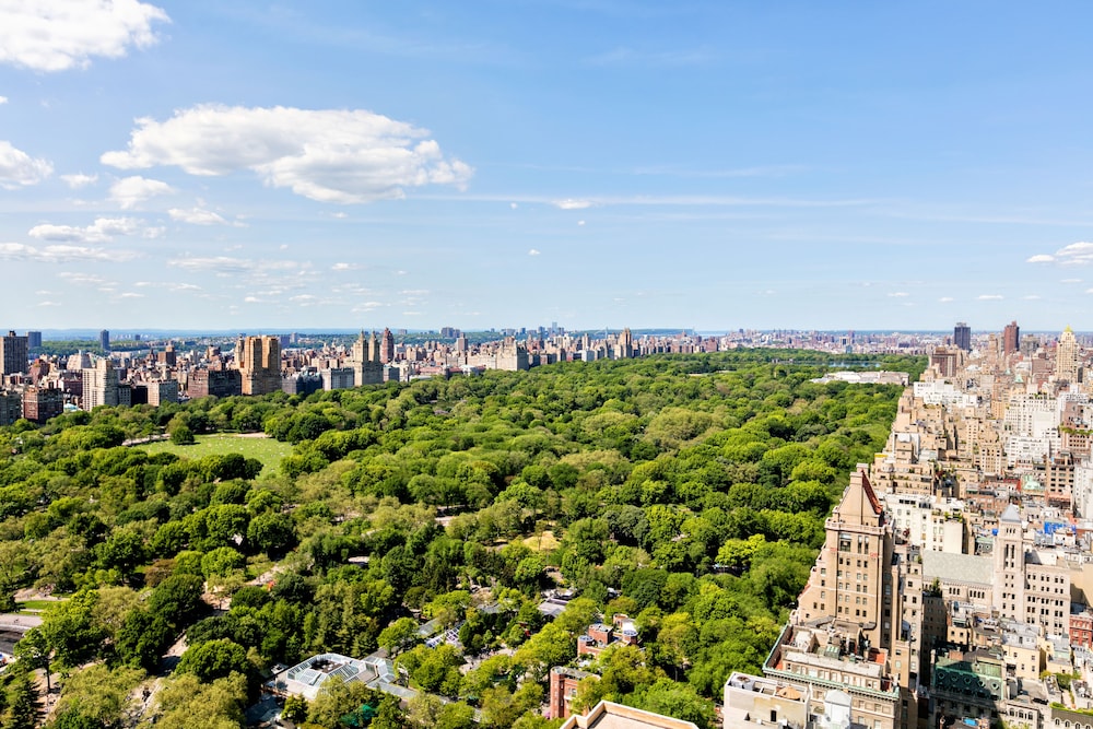 The Pierre A Taj Hotel New York - photo 90