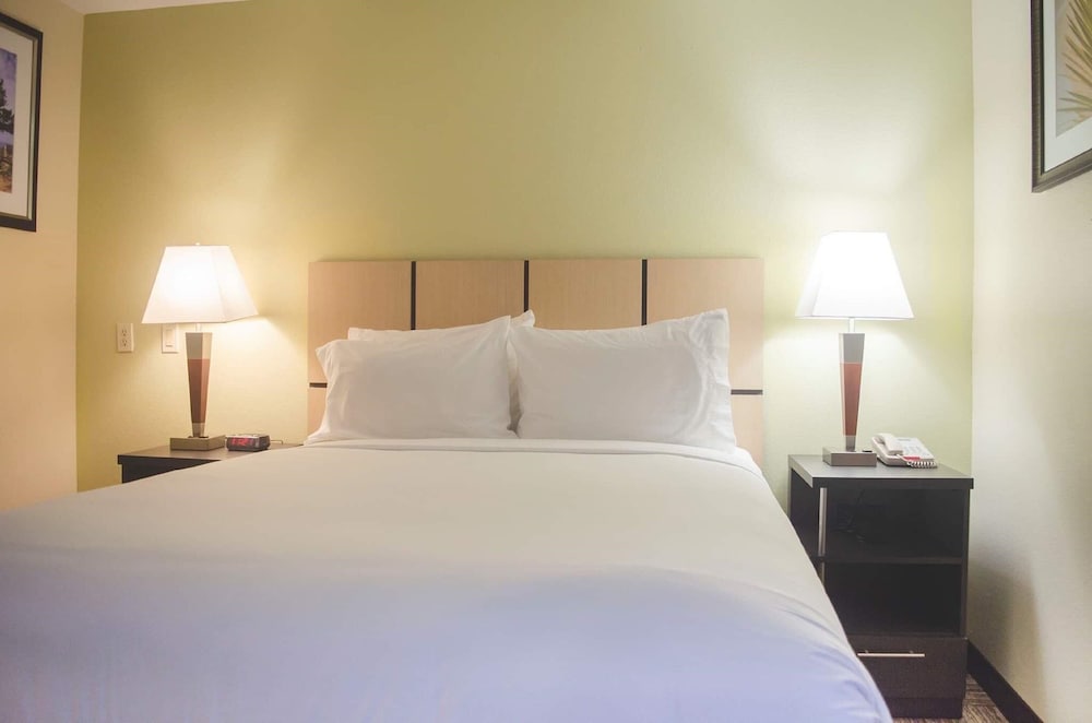 Candlewood Suites Houston Medical Center - photo 10