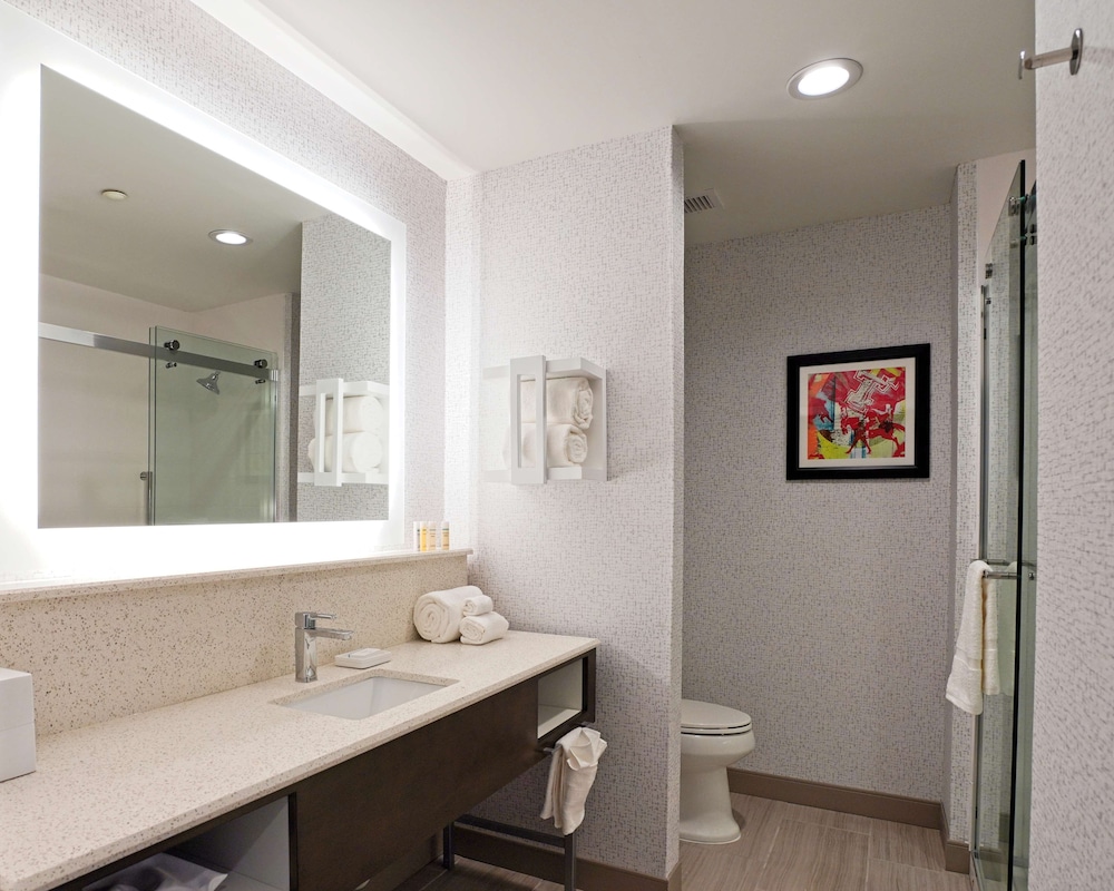 Hampton Inn & Suites Lubbock University - photo 20