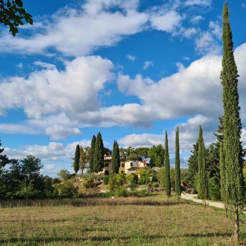 Casa Colonica — 4-Star Luxury Hotel in Bucine, Italy