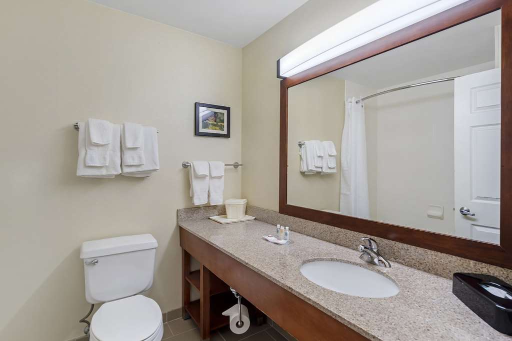 Comfort Suites Normal University area - photo 11