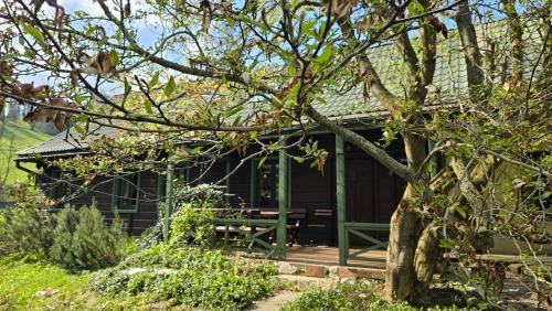Łapszanka 29 - carbon neutral hotel in Unknown City