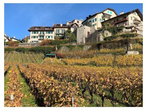 La Vigneronne Tuin