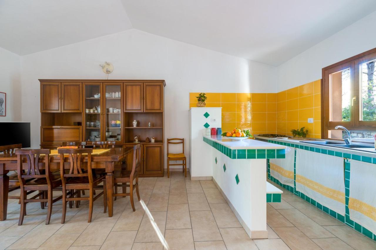 Villa Del Maestro — Narbolia — photo 2