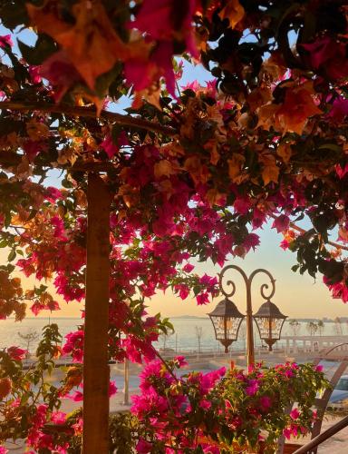 Tékada Hotel & Restaurant - last minute hotel in Vlore