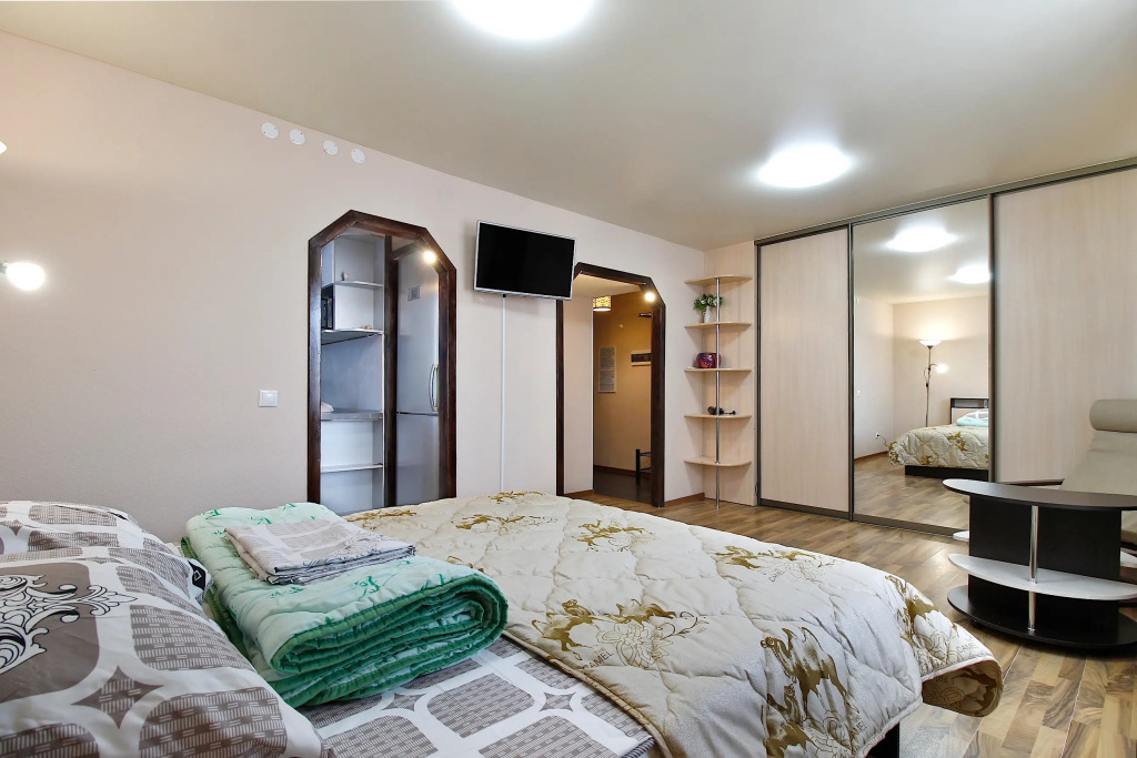 V Tsentre Flat in Petrozavodsk, Russia