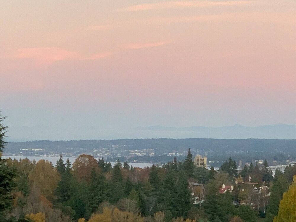 Arboretum View Magnolia - photo 18