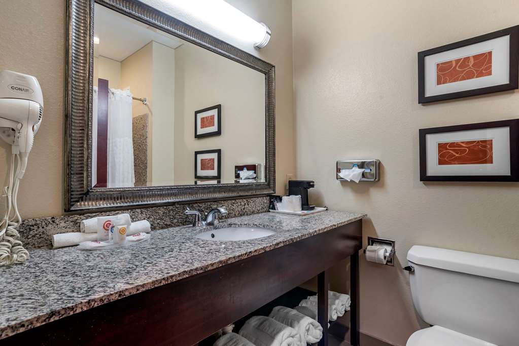Comfort Suites Biloxi Ocean Springs - photo 10
