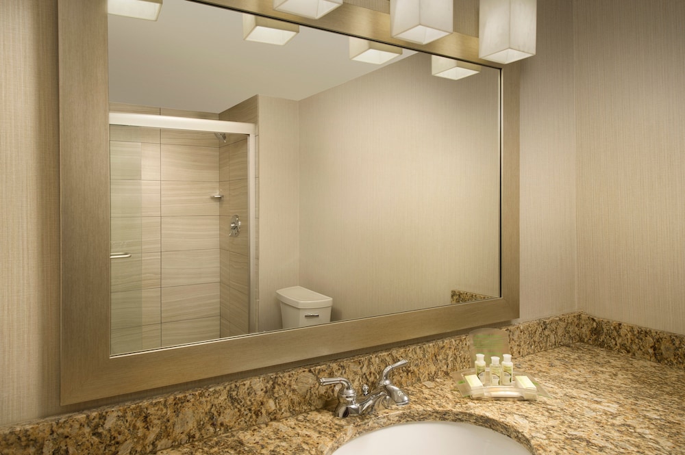 Holiday Inn El Paso Airport by IHG - photo 15