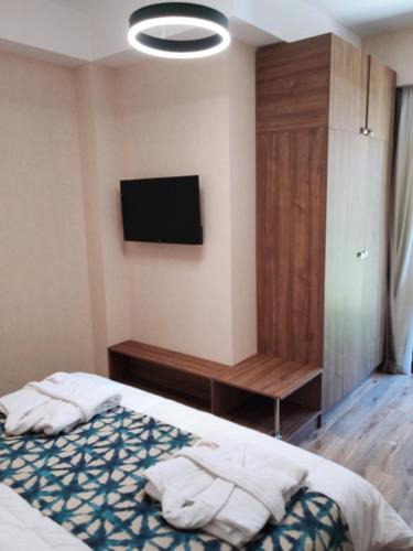 Bakuriani Krystal Resort Apartment A108