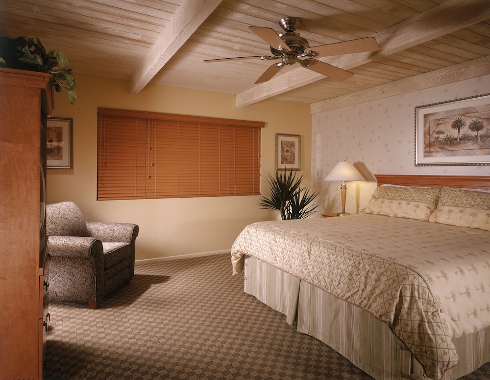 Desert Isle of Palm Springs by Diamond Resorts - photo 4