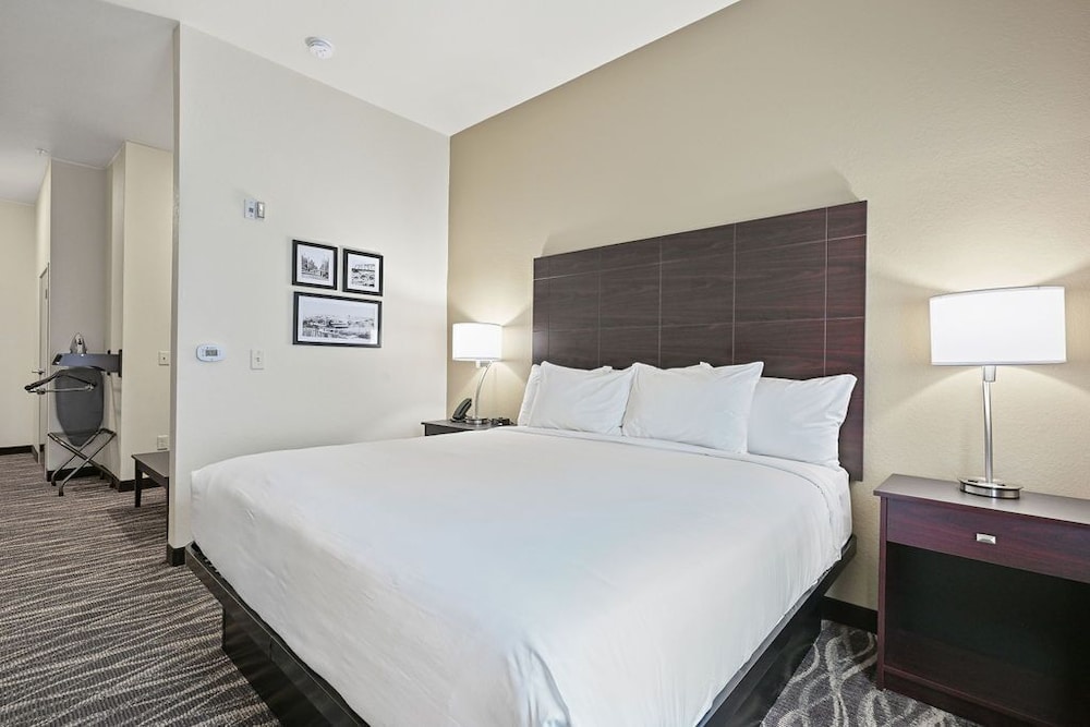 Cobblestone Hotel & Suites Mosinee - photo 32