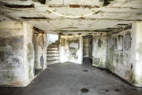 Spruce Landing - photo 34