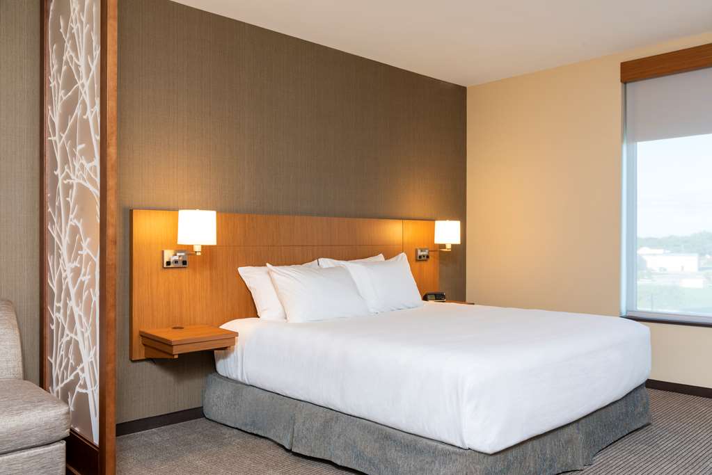 Hyatt Place Flint Grand Blanc - photo 37