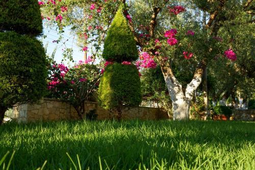 Maria Studios - carbon neutral hotel in Zakynthos