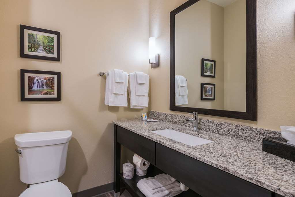 Comfort Suites Marysville Columbus Northwest - photo 16