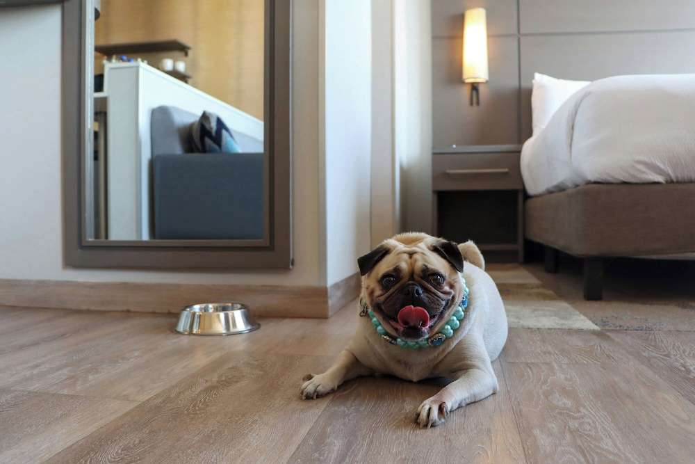 Residence Inn by Marriott Playa del Carmen