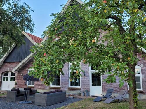Landhuis onder de lindeboom — hotel in Losser