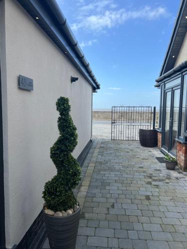 Beach Pad ground floor pet friendly — Cleveleys — photo 2