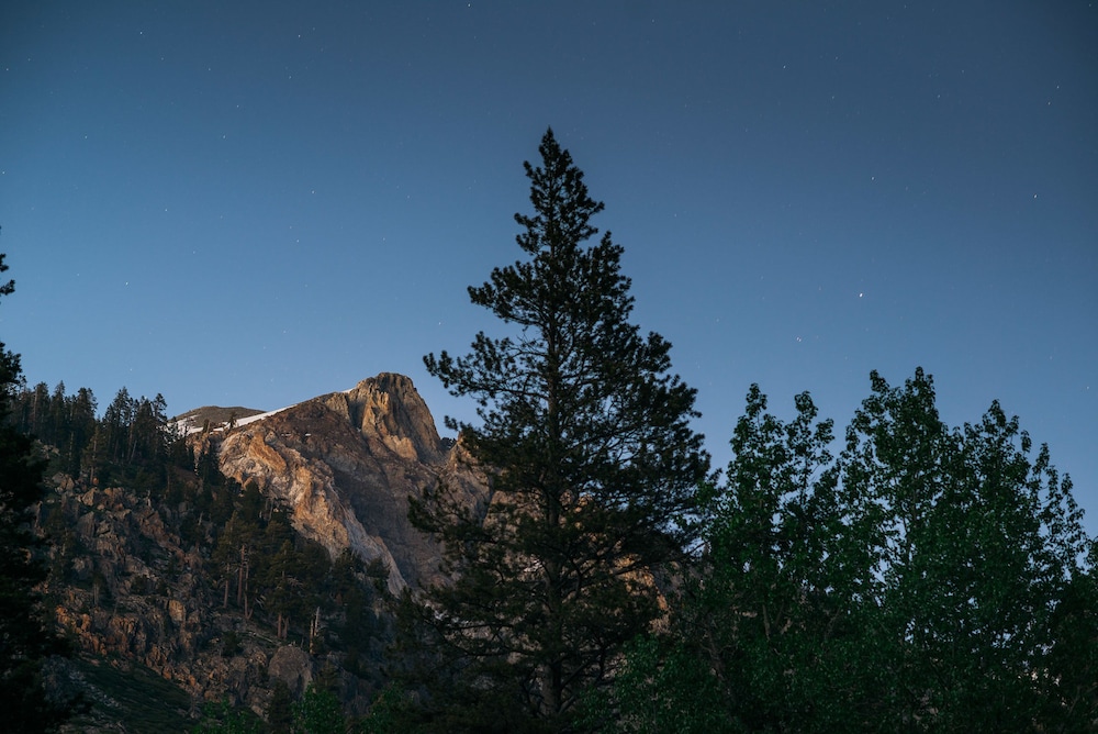 Silver City Mountain Resort - photo 138