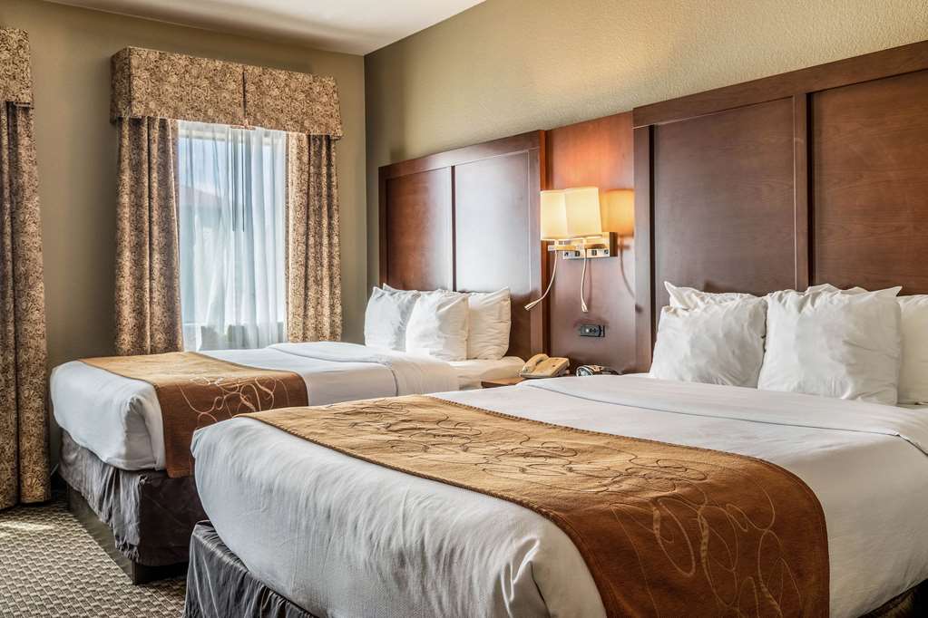 Comfort Suites Near Texas State University - photo 22