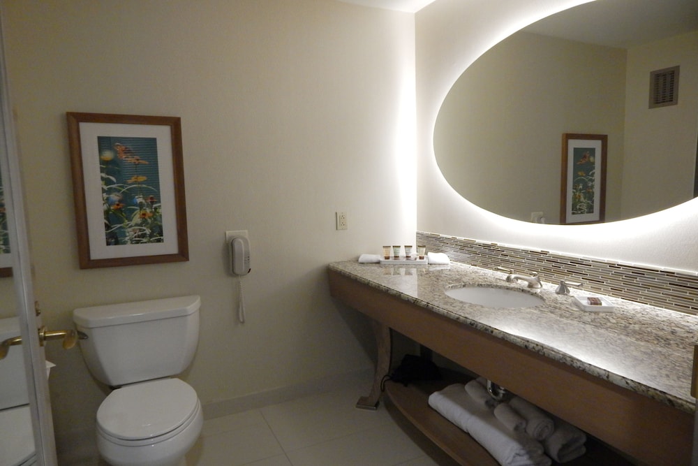 Moody Gardens Hotel Spa and Convention Center - photo 14