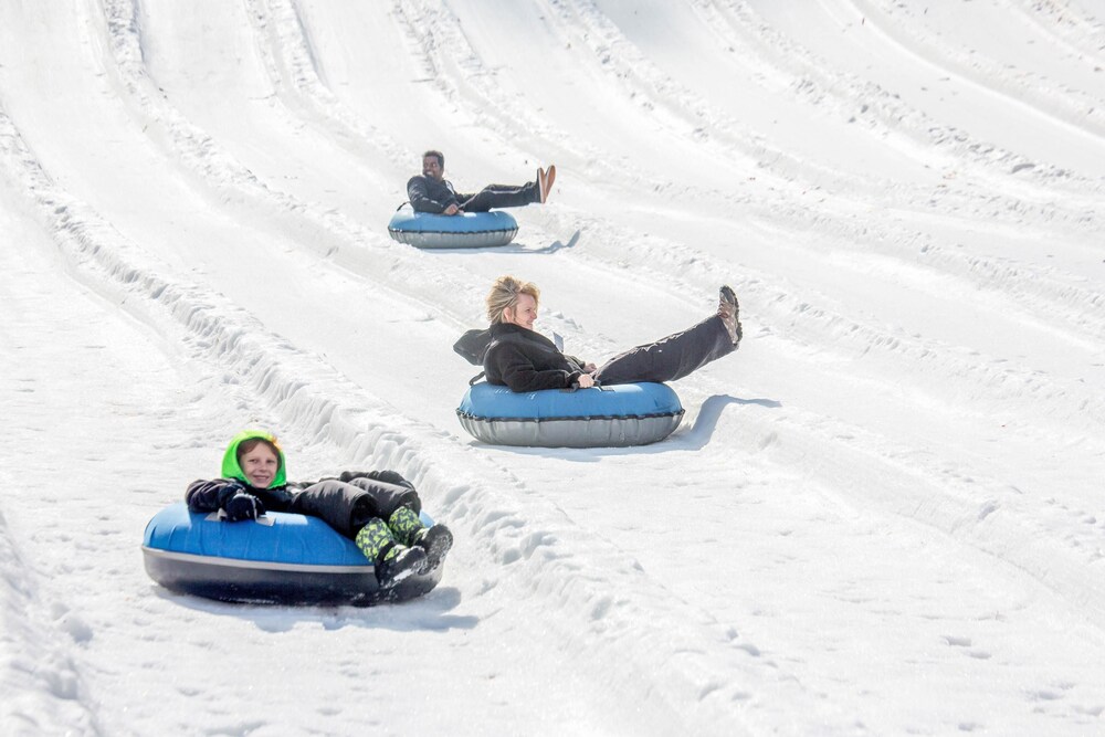 4002 Big Bear Resort - photo 27